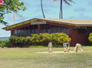 Click to enlarge Kapa‘a Public Library